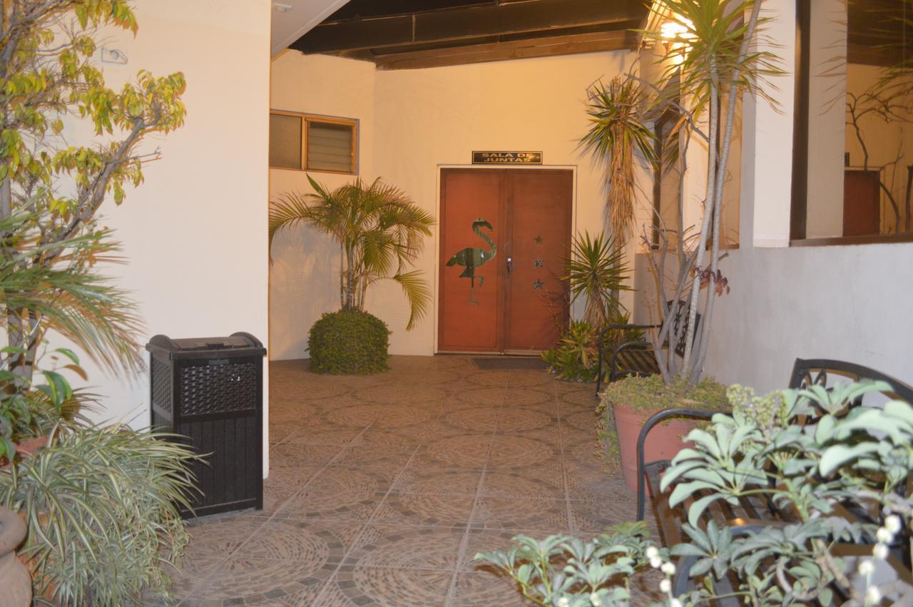 Hotel Flamingo Kristal إيرابواتو المظهر الخارجي الصورة